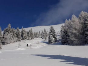 Hotels in Garna